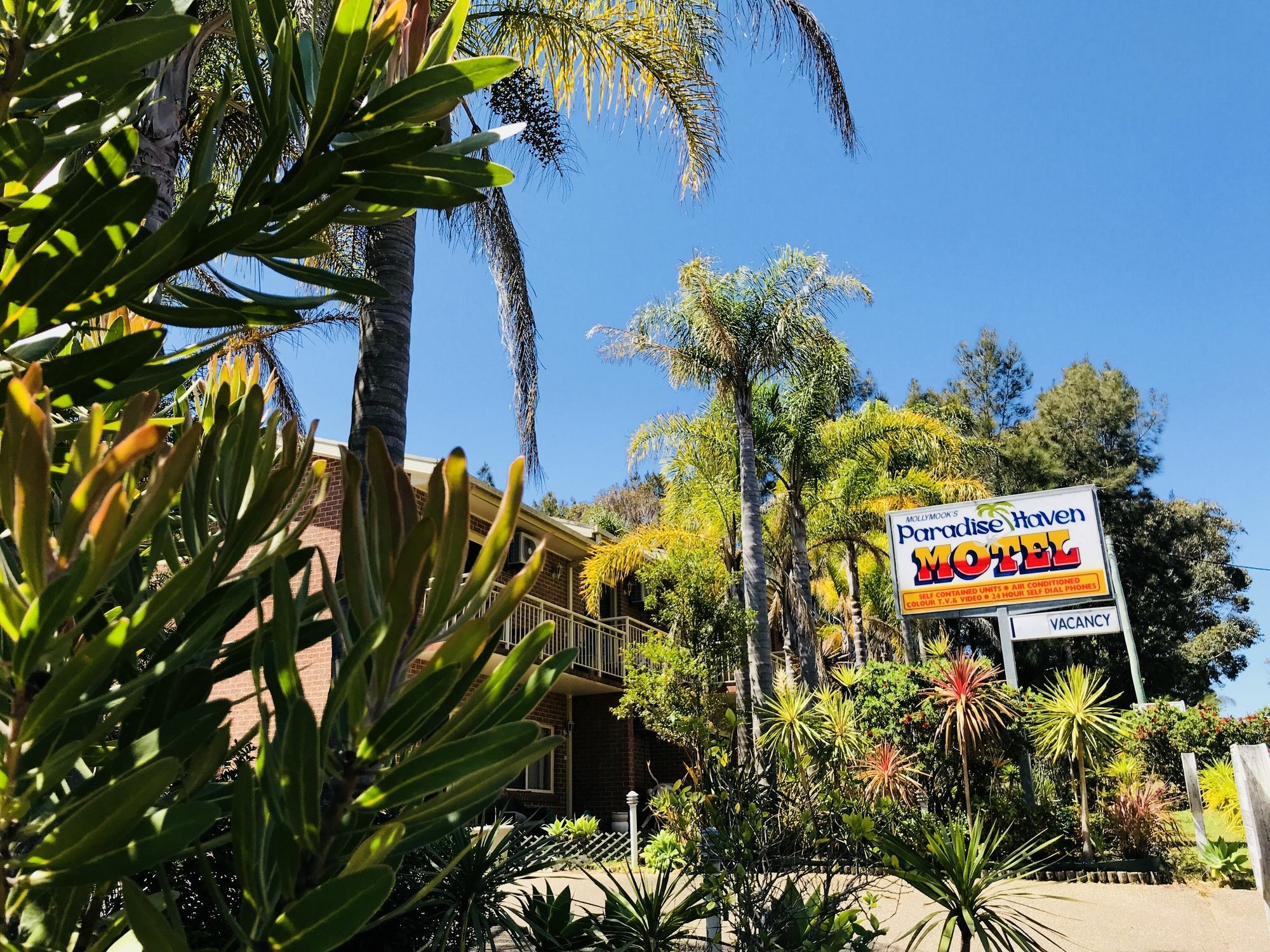 Mollymook Paradise Haven Motel Exterior photo